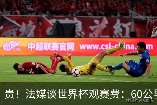 贵！法媒谈世界杯观赛费：60公里火车98美元，有人4天花4500欧元